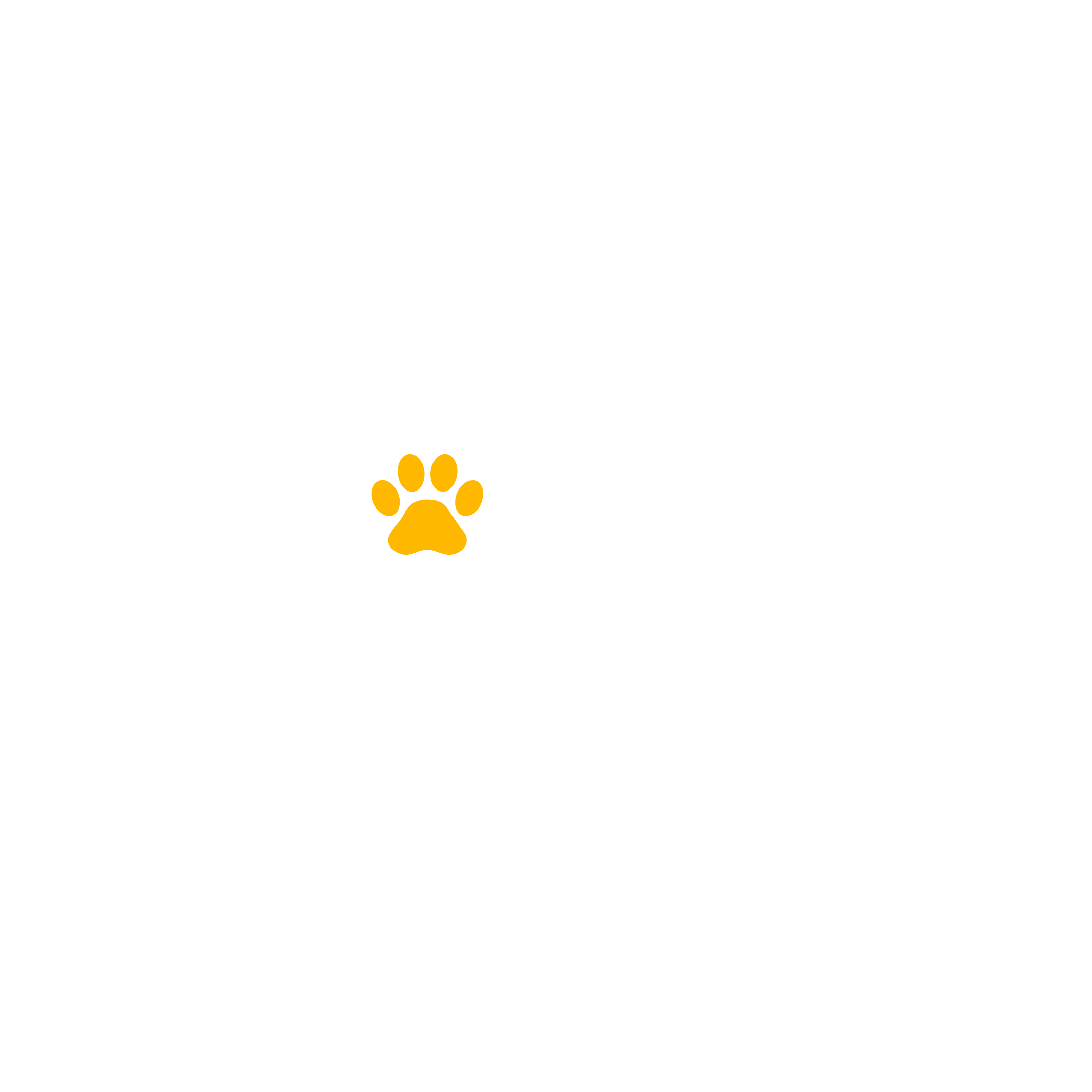 Animal Matter To Me