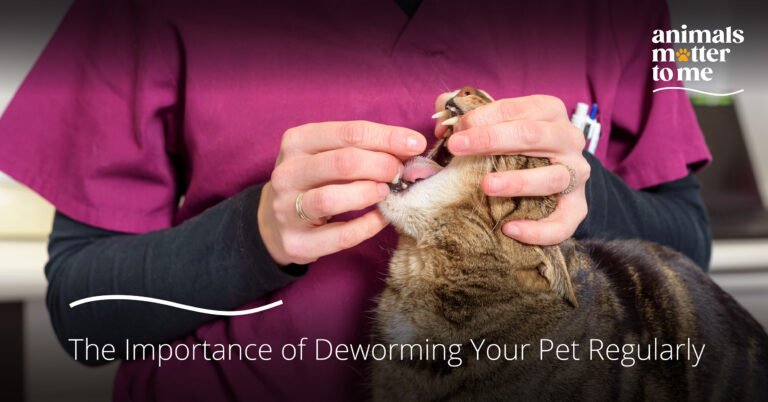 The Importance of Deworming Your Pet Regularly - Animal Matter To Me